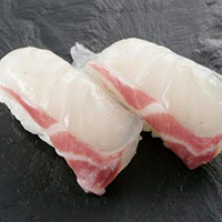 白身・青物・光物